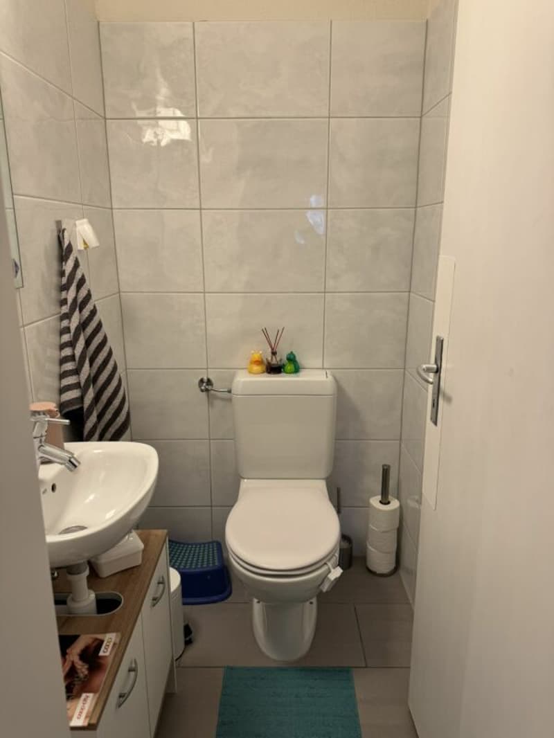 Attraktive 3-Zimmer Wohnung an zentraler Lage in Pfäffikon (7)
