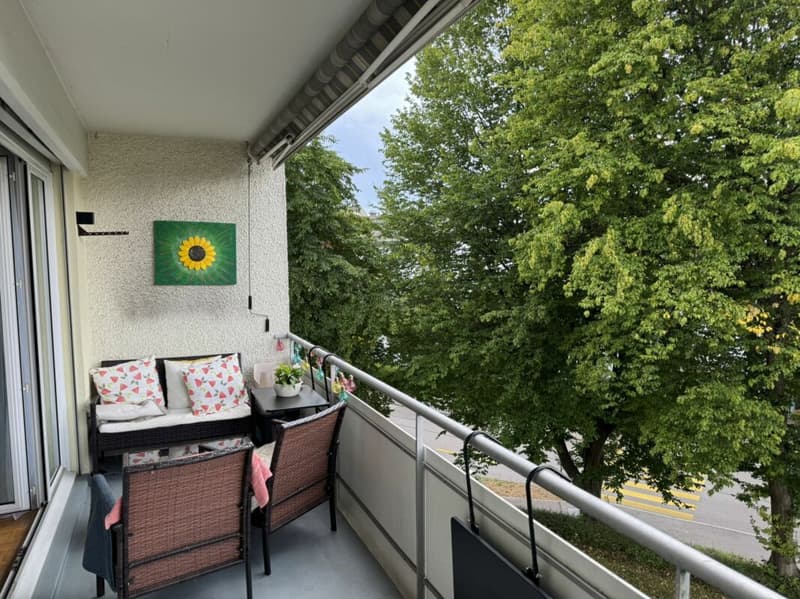 Attraktive 3-Zimmer Wohnung an zentraler Lage in Pfäffikon (9)