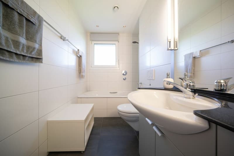 Raum für hohe Ansprüche - 3½ Zimmer, 116 m² Wohnfläche und zwei Sonnenterrassen (6)