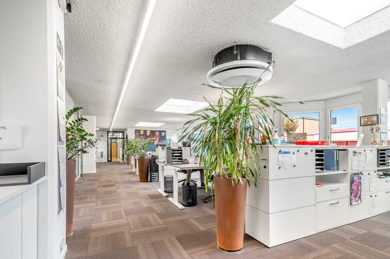 Open office space with cubicles, filing cabinets, and potted plants. Carpeted floor, suspended ceiling with lighting, and windows providing natural light.
