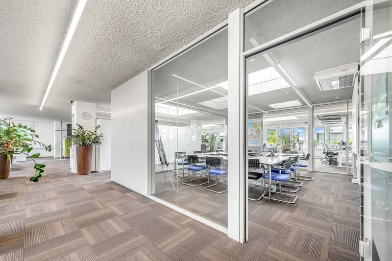 The image shows a modern, open-plan office space with a reception area and a conference room visible through glass walls. The office has a clean, minimalist design with gray carpeting, white walls, and large windows that let in natural light. The receptio