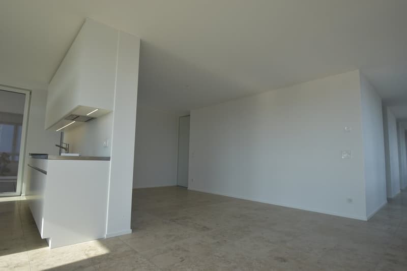 Wohnzimmer / Küche