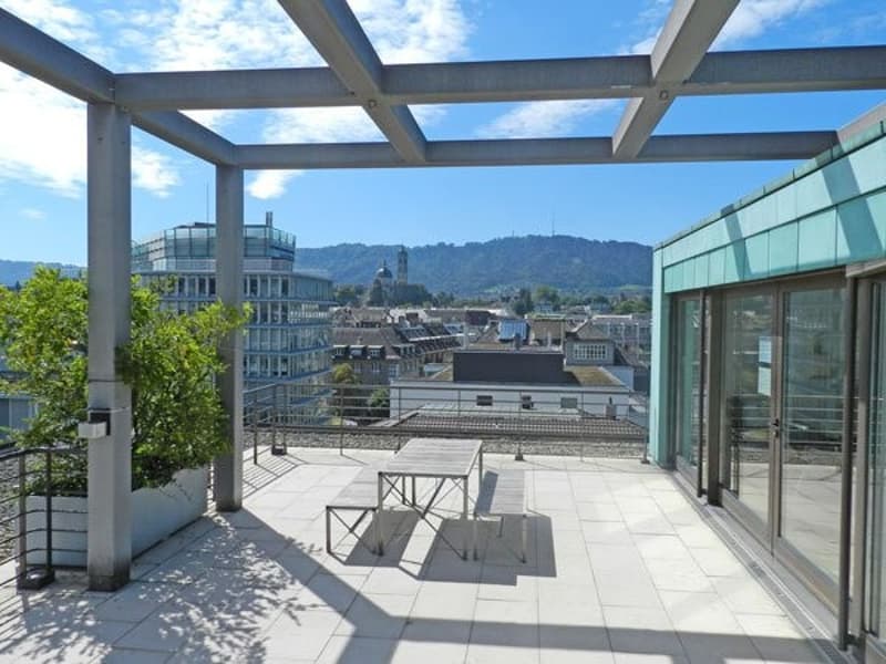 Gemeinsame Dachterrasse.jpg