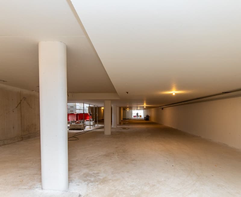 Empty basement, concrete walls, white ceiling, pillars, unfinished