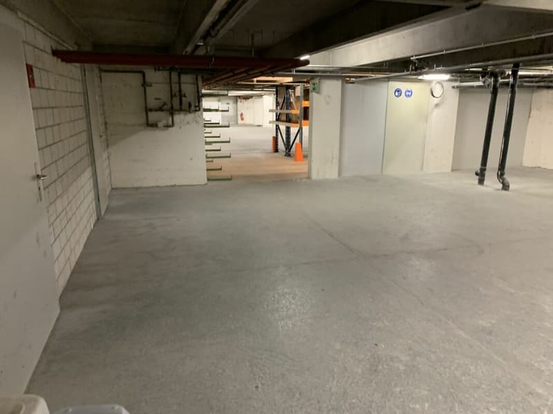 Spazio di magazzinaggio e logistica con gru e ricezione di merci a Villmergen (4)