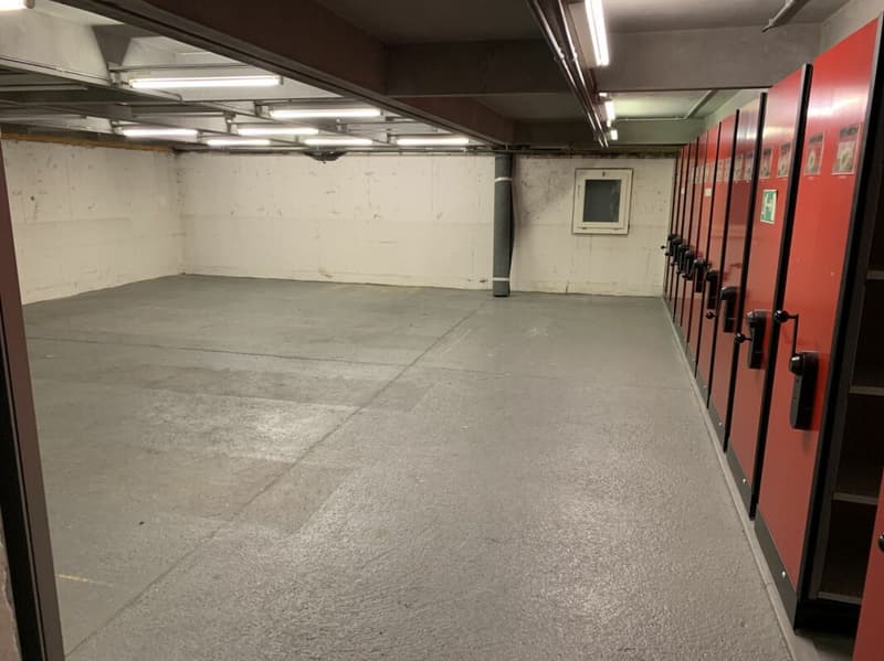Spazio di magazzinaggio e logistica con gru e ricezione di merci a Villmergen (17)