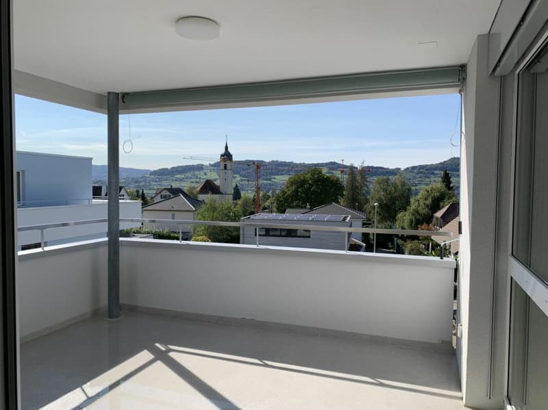 3.5 PIÈCES APPARTMENT (10)