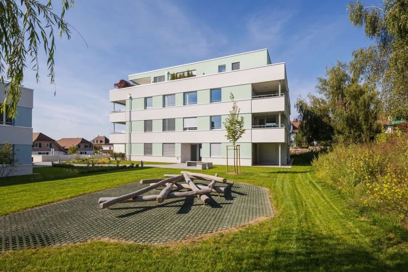 3.5 PIÈCES APPARTMENT (1)