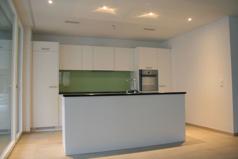 MODERNE PARTERREWOHNUNG MIT UMSCHWUNG (2)