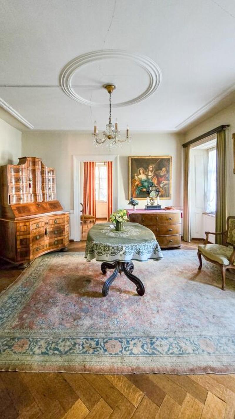 Historic estate ensemble with unique character (4)