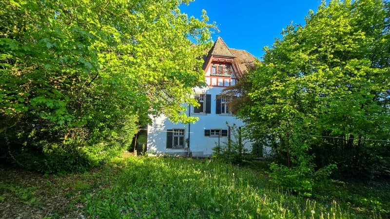 Historic estate ensemble with unique character (12)