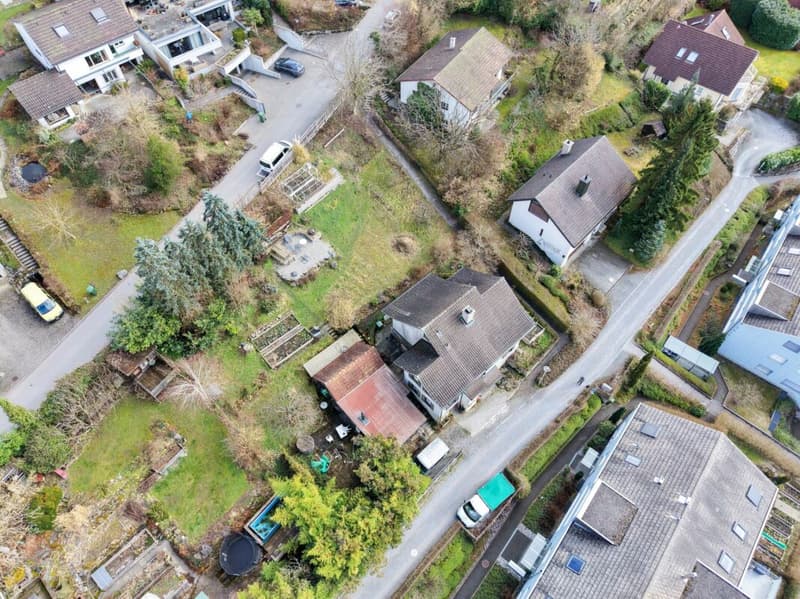 Single-family house with development potential (3)