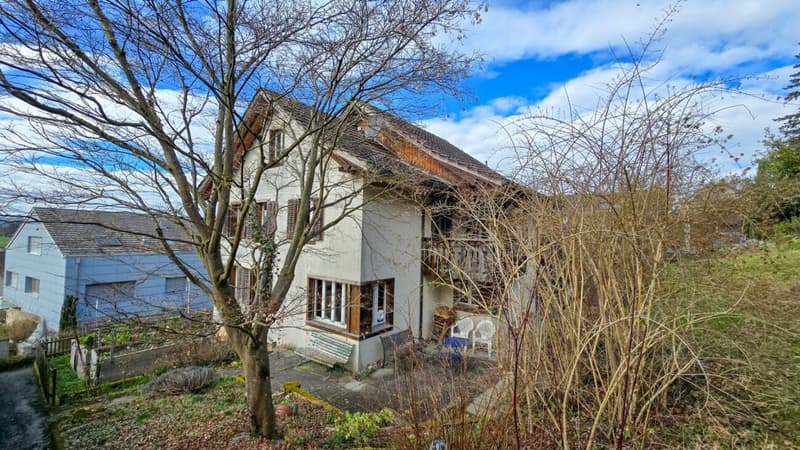 Maison unifamiliale avec potentiel de développement (6)