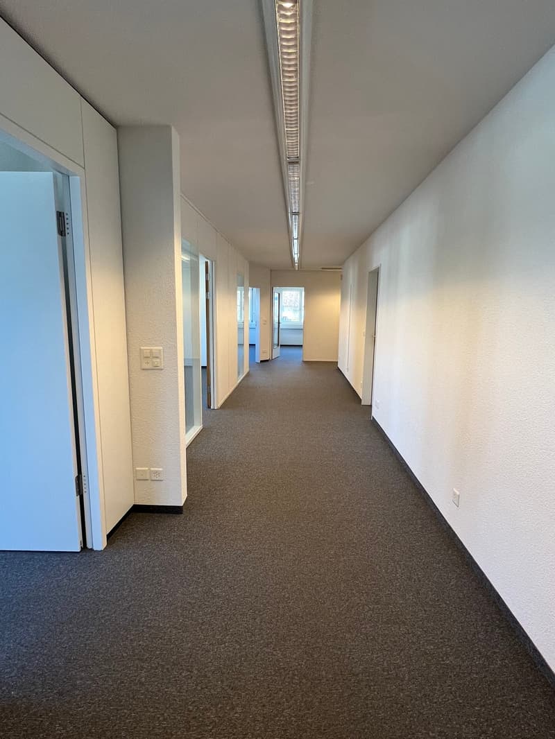 long corridor, carpeted floor, doors on both sides, windows at the end, lights on ceiling