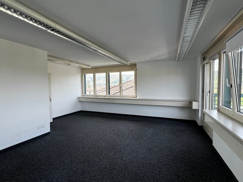 empty room, white walls, black carpet, large windows, ceiling lights