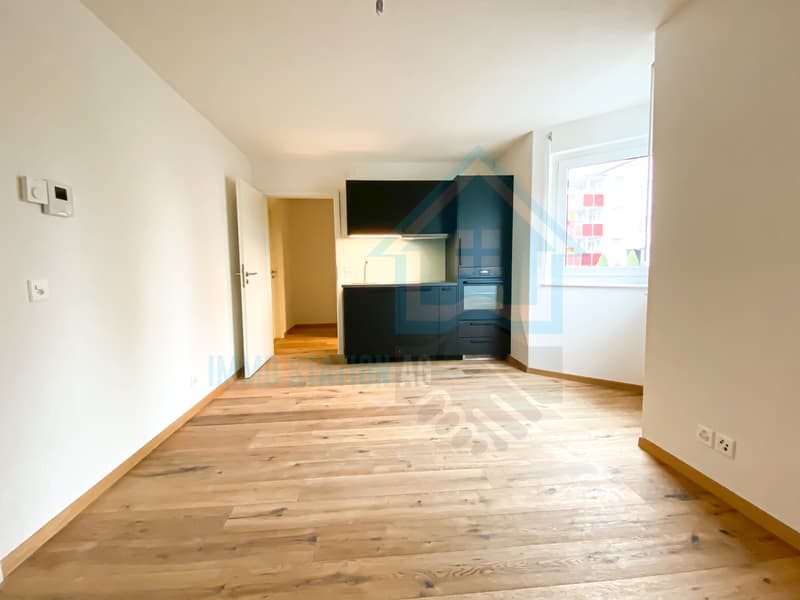 Appartamento/moderno monolocale a Gontenschwil AG (2)