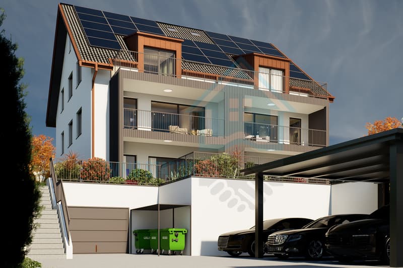 Neubauprojekt Kirchdorf AG - modernes Wohnen im Grünen in Kirchdorf AG (6)