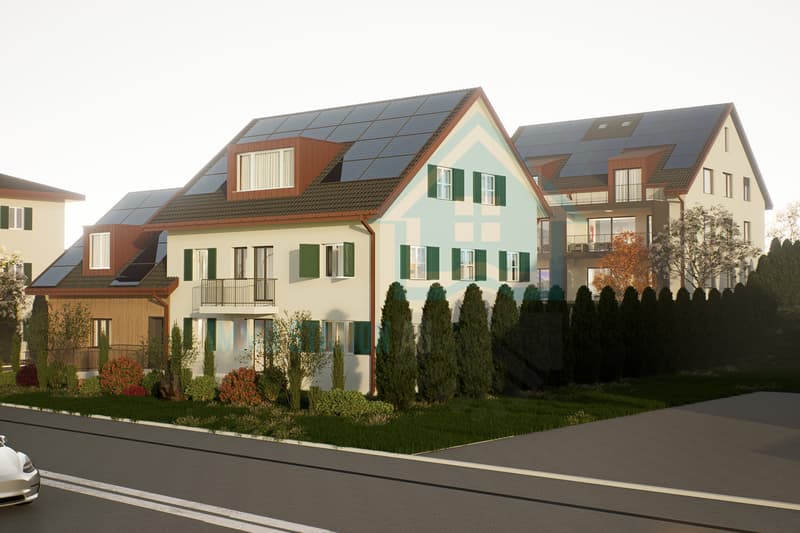 Ersatzneubauprojekt in Kirchdorf AG - stilvoll, nachhaltig, naturnah (7)