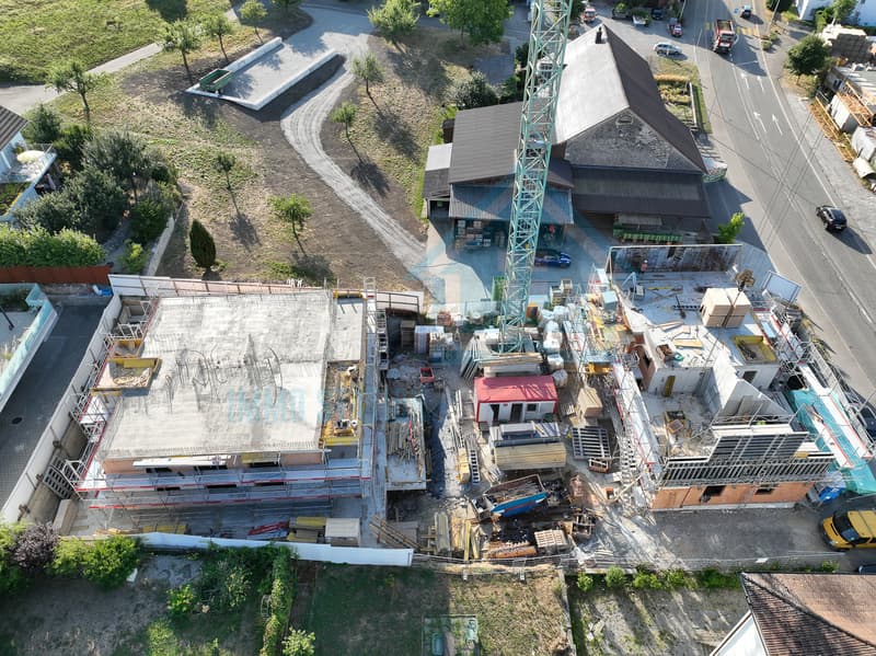 Ersatzneubauprojekt in Kirchdorf AG - stilvoll, nachhaltig, naturnah (13)