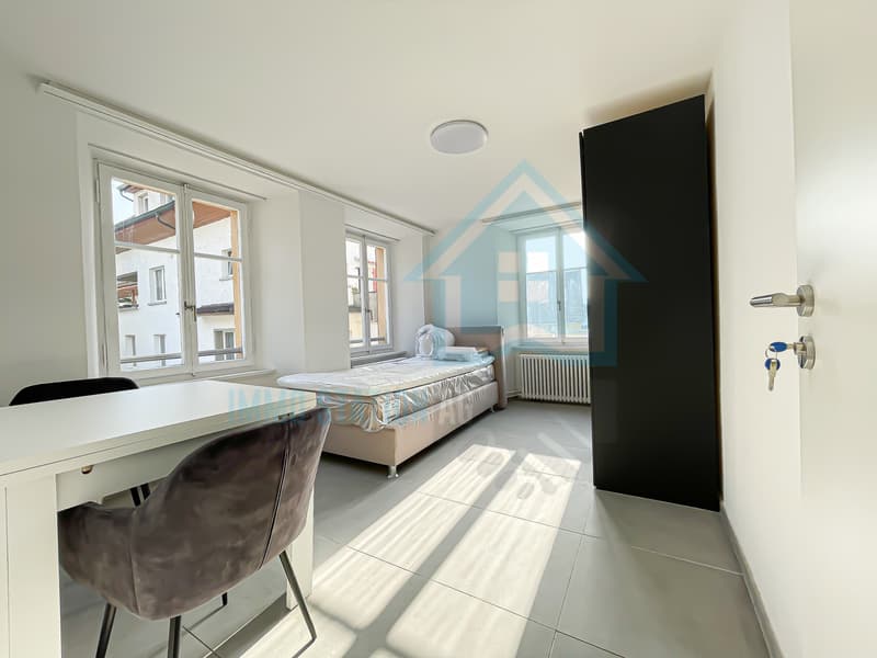 Möbliertes 1-Zimmer-Studio/Apartment an zentraler Lage in Döttingen (1)