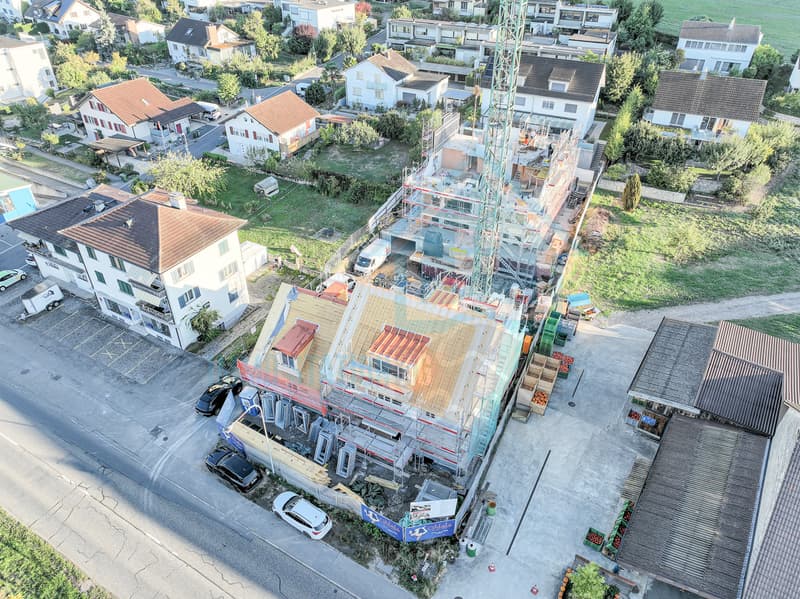 Ersatzneubauprojekt in Kirchdorf AG - stilvoll, nachhaltig, naturnah (12)