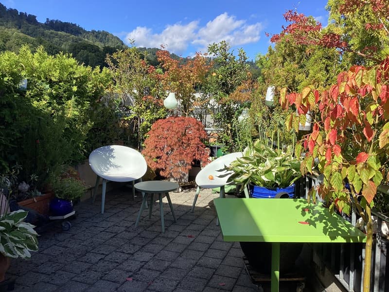 Appartement en duplex mansardé avec terrasse de 36 m2 (3)