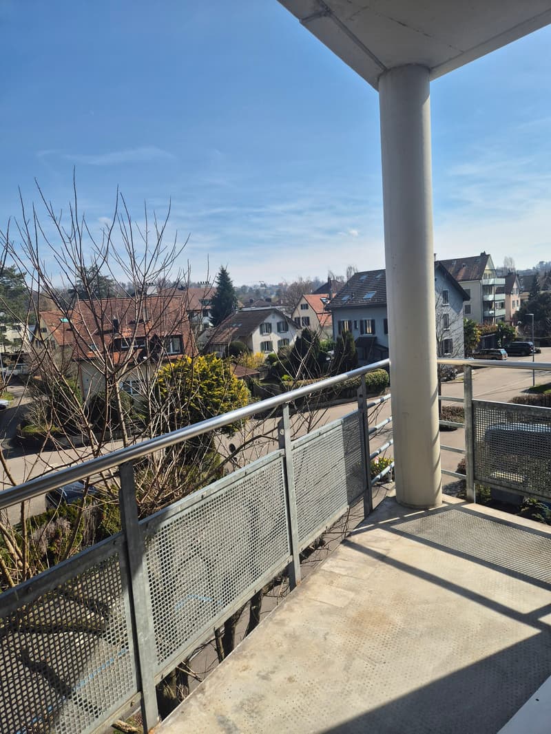 Appartement en duplex mansardé avec terrasse de 36 m2 (2)