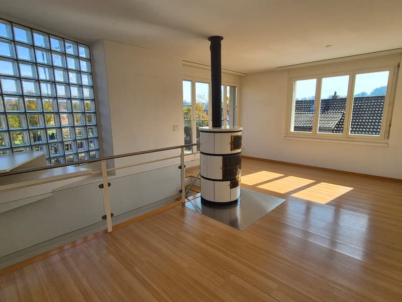Appartement en duplex mansardé avec terrasse de 36 m2 (5)