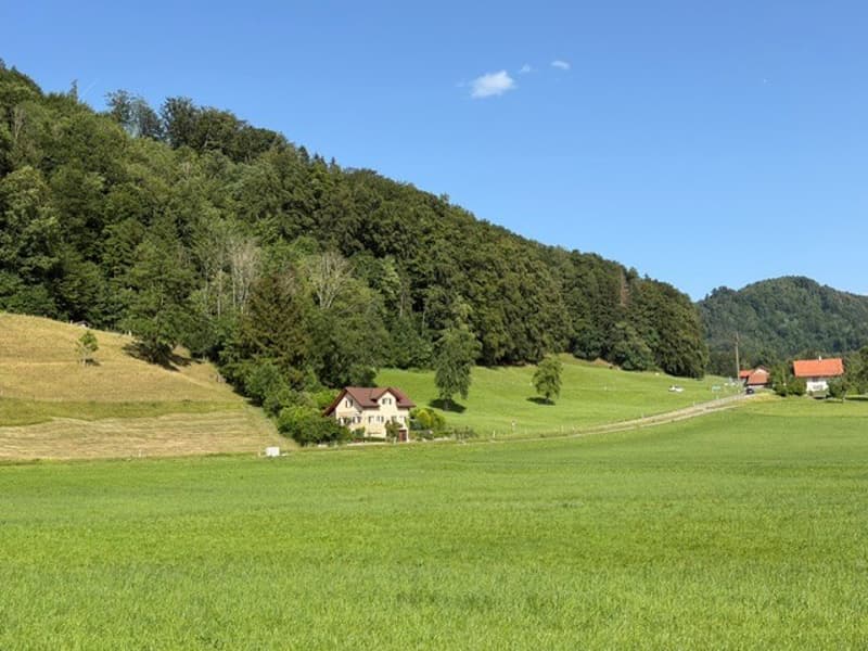 Detached single-family house with a dreamy garden and plenty of privacy near the lake (1)