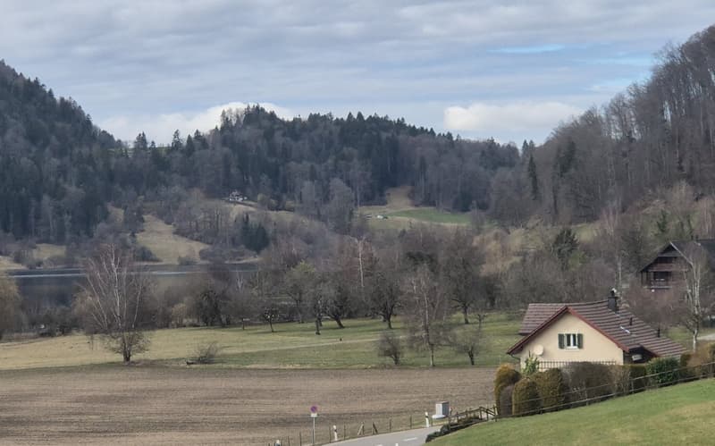 Detached single-family house with a dreamy garden and plenty of privacy near the lake (3)