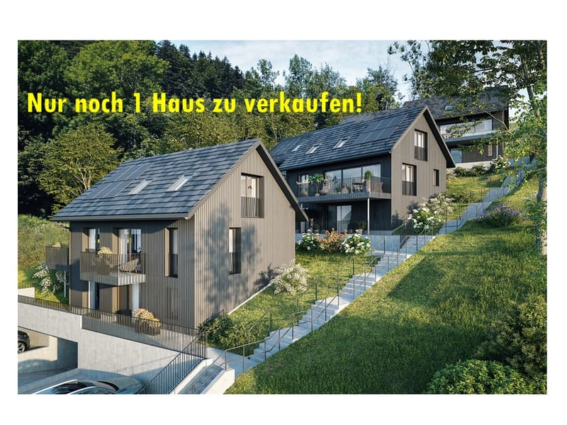 Modernes 5.5-Zimmer-Einfamilienhaus an ruhiger Lage in Waltenstein/ Schlatt (1)