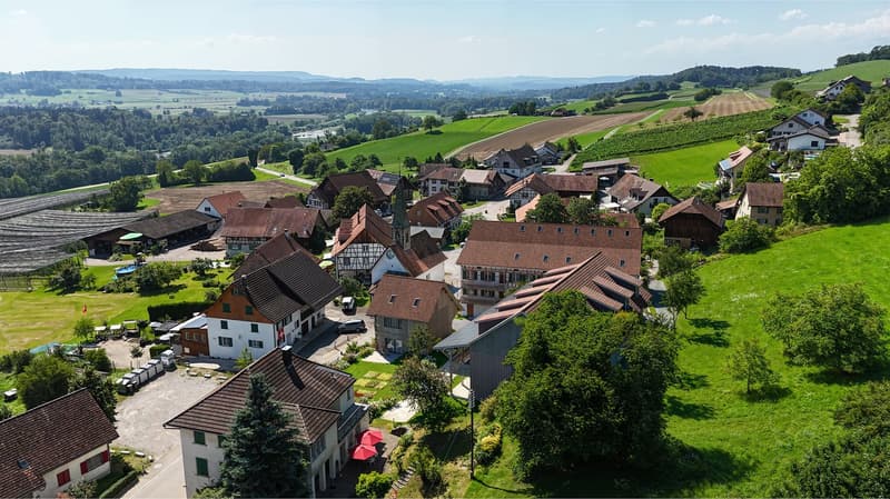 Charmante 3.5-Zimmer-Wohnung in Niederneunforn (4)