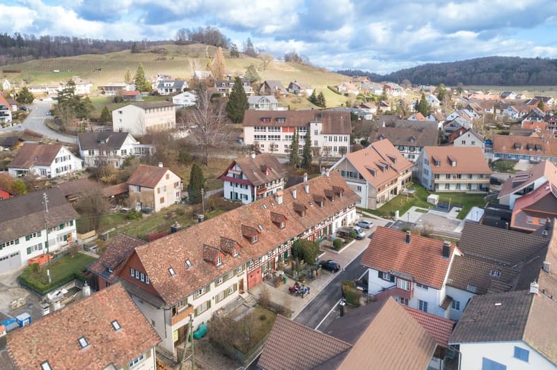 residential area with houses of different sizes and styles, several garages, cars parked, green lawns and trees, hills in the distance