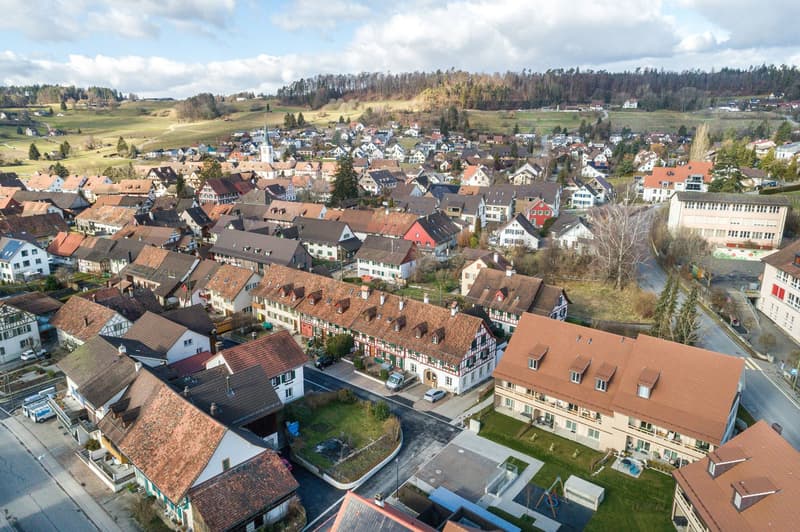 village of detached houses and apartments, brown roofs, street lined with trees, green lawns, playground