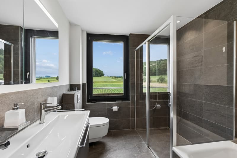 Sunny 3.5-room apartment with a far-reaching view (7)