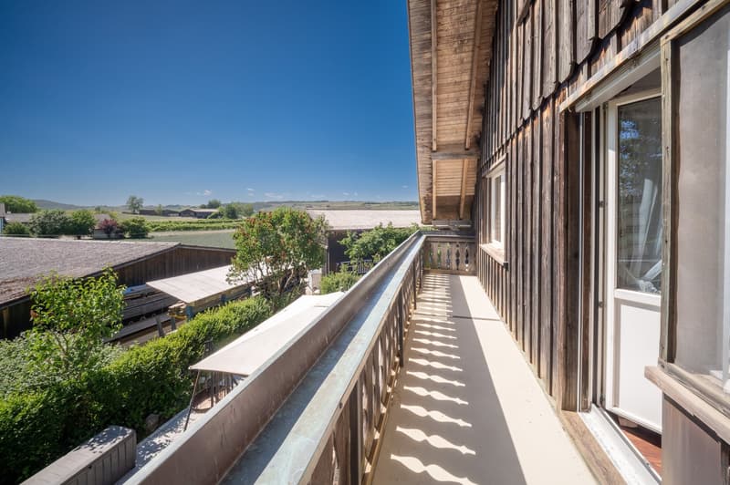 Maison unifamiliale spacieuse avec grand jardin et beaucoup d'espace extérieur (10)