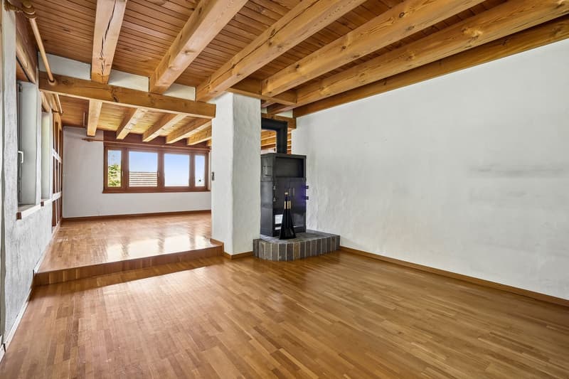 Single-family house on the edge of the forest – Spacious and charming (8)
