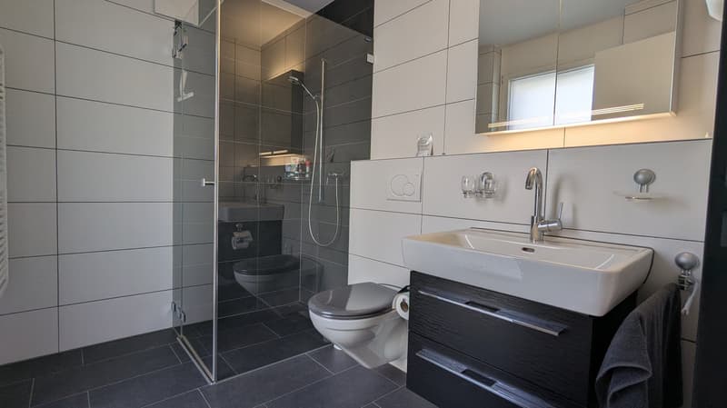 exklusive 4.5-Zimmer-Attikawohnung an ruhiger Lage (3)