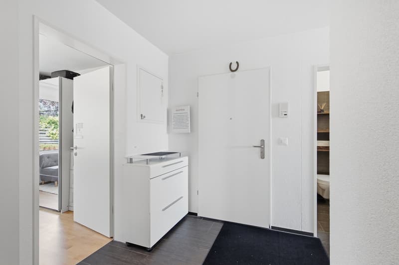 Moderne 4,5-Zimmer-Erdgeschosswohnung im familienfreundlichen Quartier (3)