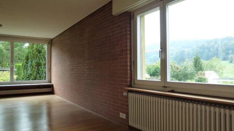 Charmantes 5.5-Zimmer-Einfamilienhaus in Embrach, befristet für ein Jahr (12)