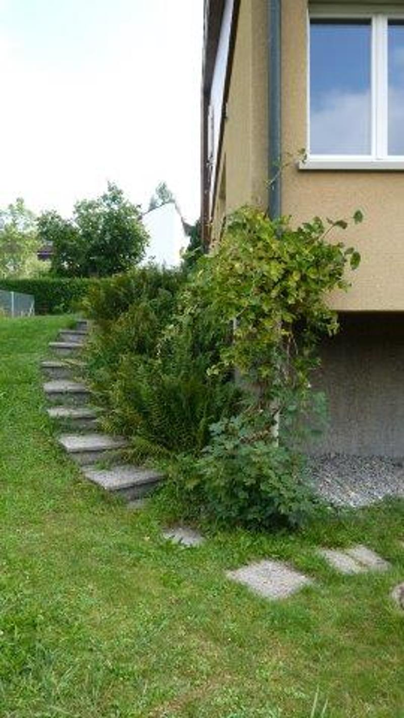 Charmantes 5.5-Zimmer-Einfamilienhaus in Embrach, befristet für ein Jahr (43)