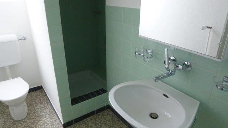 Charmantes 5.5-Zimmer-Einfamilienhaus in Embrach, befristet für ein Jahr (36)