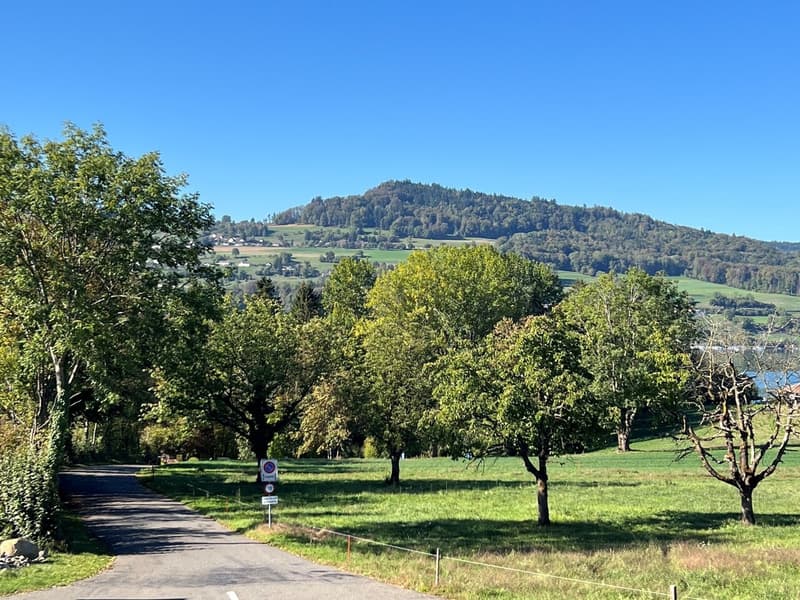 Auf der Sonnenseite des Hallwilersees 4 ½ Zimmer Wohnung in Tennwil (6)