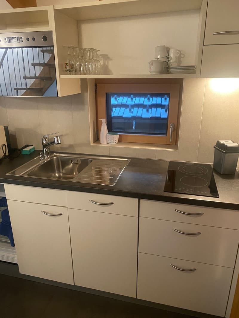 Modern kitchen with white cabinets, stainless steel sink, induction cooktop, and built-in dishwasher. Shelves above the sink hold glassware. A TV is mounted on the wall above the kitchen counter.