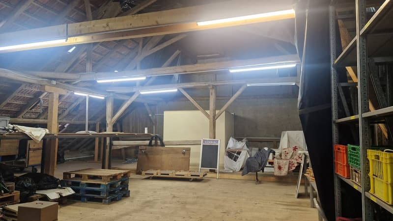 Ristorante Heitersberg a Spreitenbach con appartamento del proprietario cerca nuovi ospiti (7)