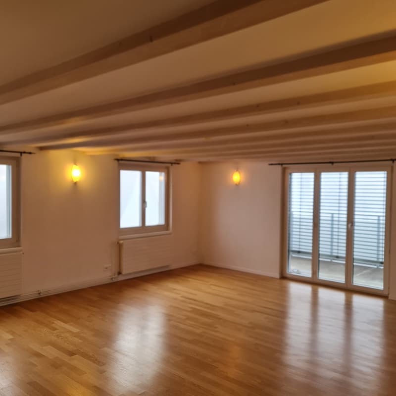 Ristorante Heitersberg a Spreitenbach con appartamento del proprietario cerca nuovi ospiti (13)