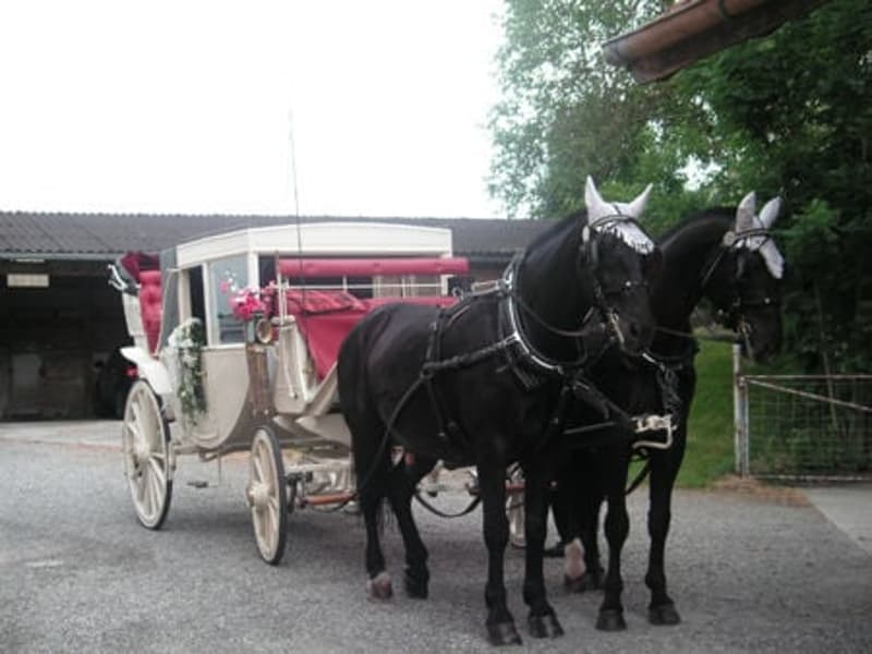 Horse carriage with red seats and flowers, two black horses, gravel road, building in the background