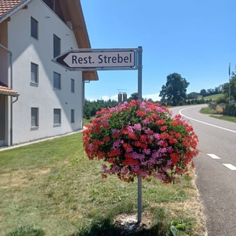 white building, red roof, street sign, flowers, road