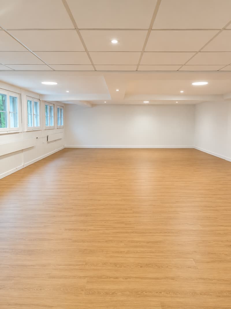 Attraktive Lager- oder Gewerbefläche mit Warenlift in Schlieren ? ca. 108 m (2)