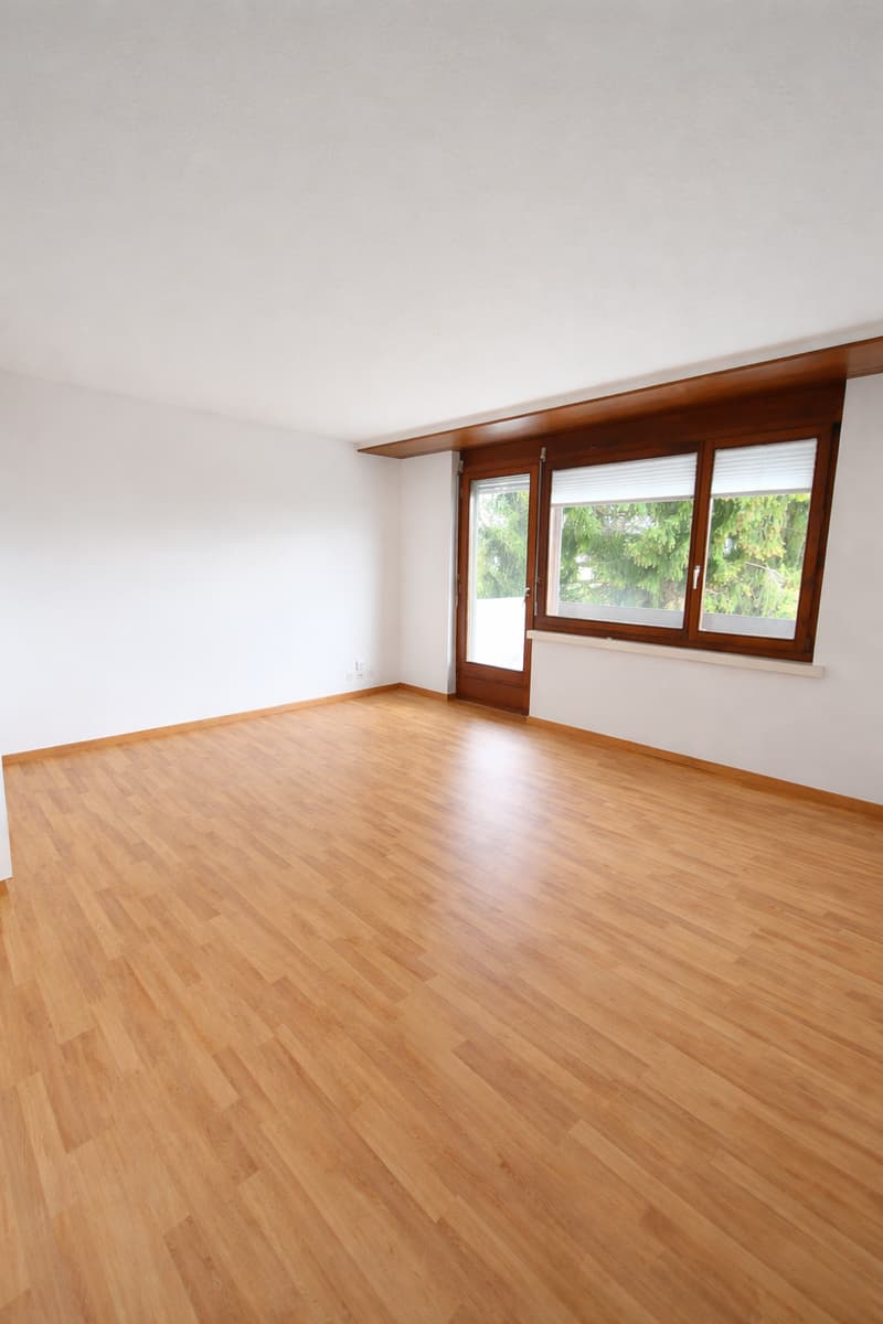 Appartamento 1.5 locali 2° piano (4)